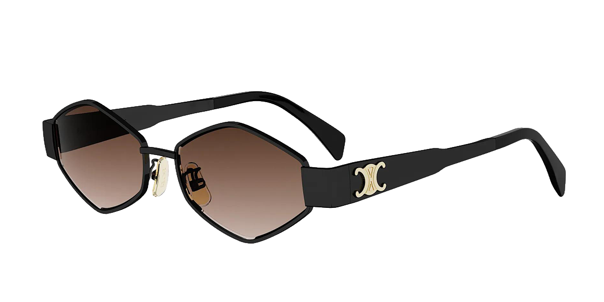 CELINE | CL40254U 01F